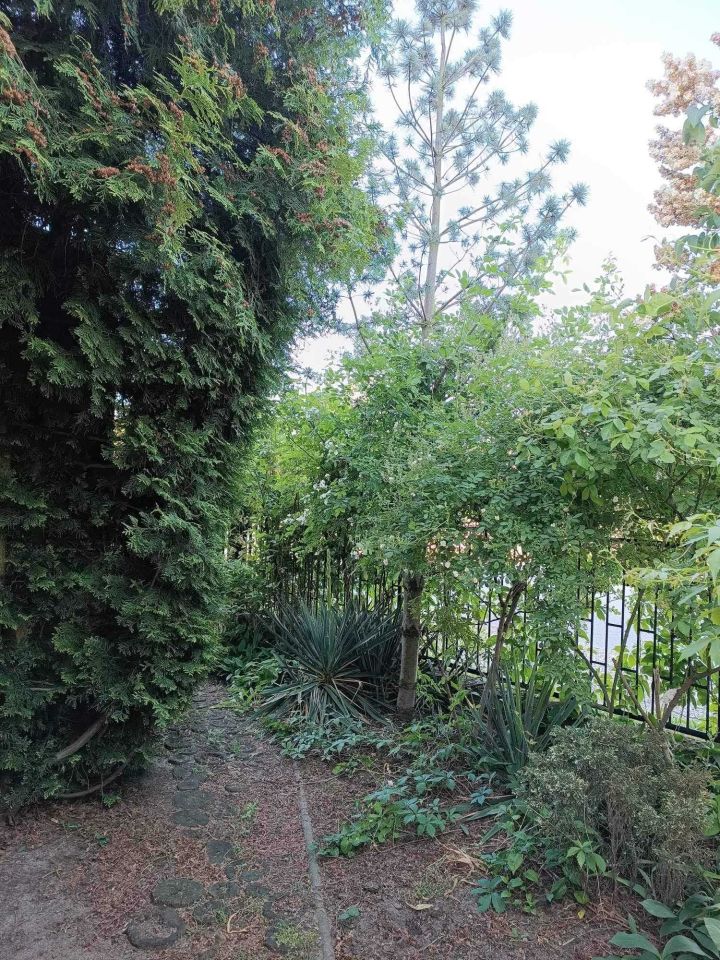 dom wolnostojący, 7 pokoi Słupca, ul. Podbipięty. Zdjęcie 5