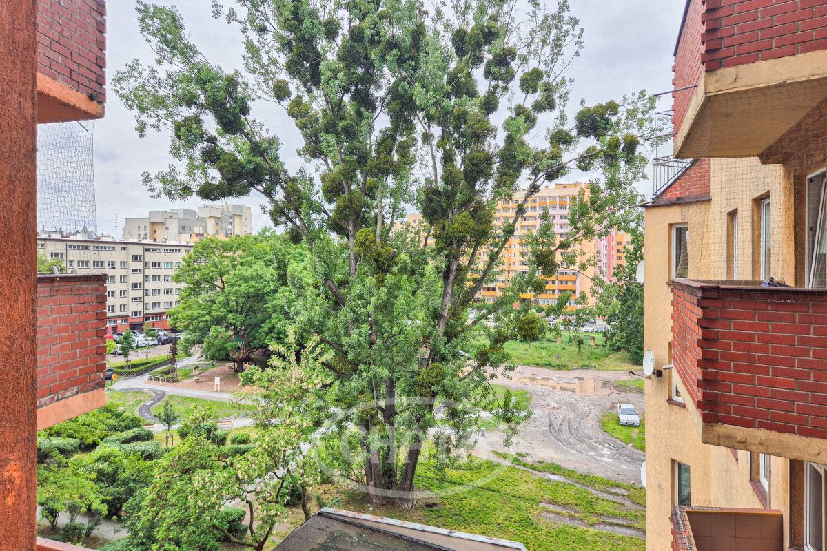 Mieszkanie 1-pokojowe Wrocław Śródmieście, ul. Stefana Żeromskiego. Zdjęcie 13