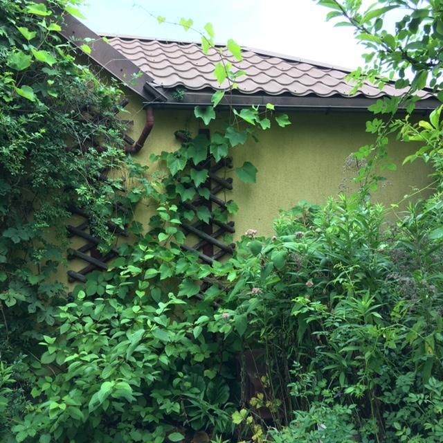 Działka rod Wrocław Stare Miasto, ul. Góralska. Zdjęcie 17