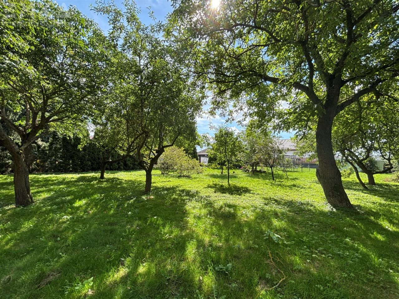 dom wolnostojący, 6 pokoi Chełmża, ul. Tadeusza Kościuszki. Zdjęcie 20