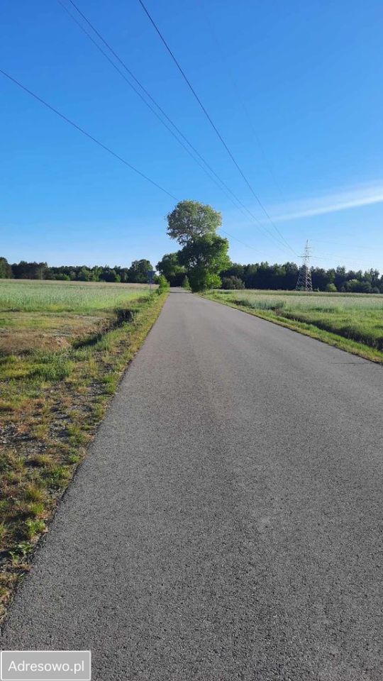 Działka rolno-budowlana Górka. Zdjęcie 3