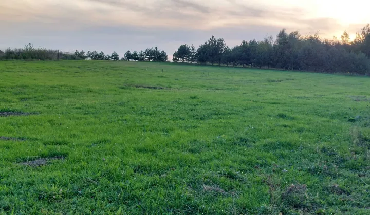 Działka budowlana Rybnik Chwałęcice