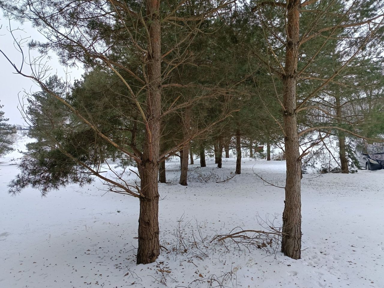 Działka budowlana Szramowo. Zdjęcie 4