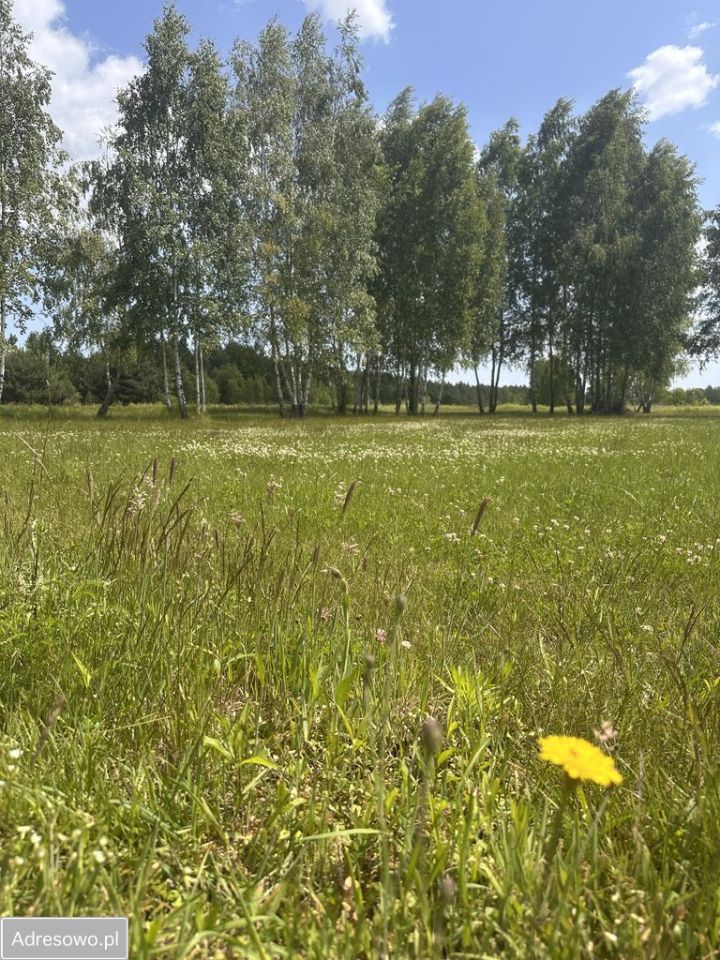 Działka budowlana Natolin. Zdjęcie 8