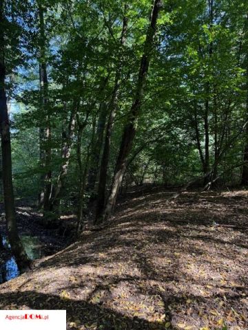 Działka budowlana Siestrzeń. Zdjęcie 13