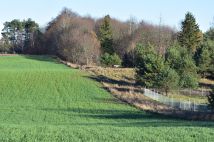 Działka rekreacyjna Dąbrówno, Wzgórze Letniskowe Dąbrowa. Zdjęcie 2