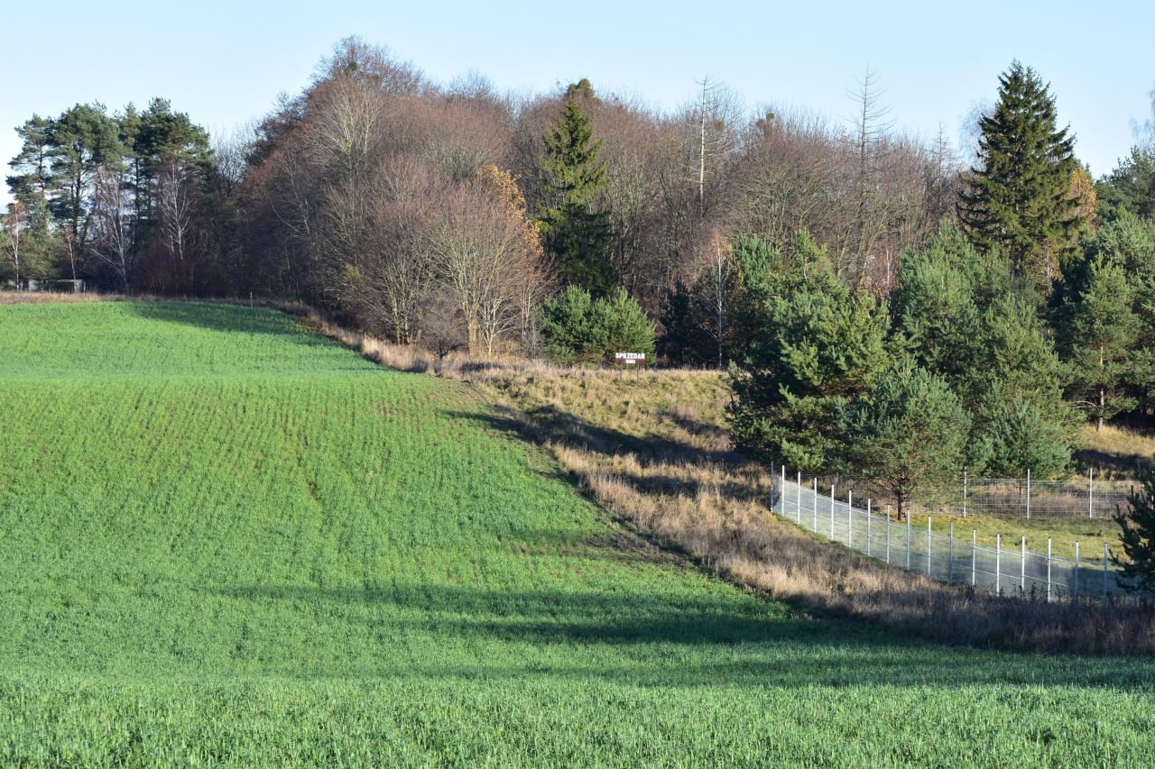 Działka rekreacyjna Dąbrówno, Wzgórze Letniskowe Dąbrowa. Zdjęcie 3