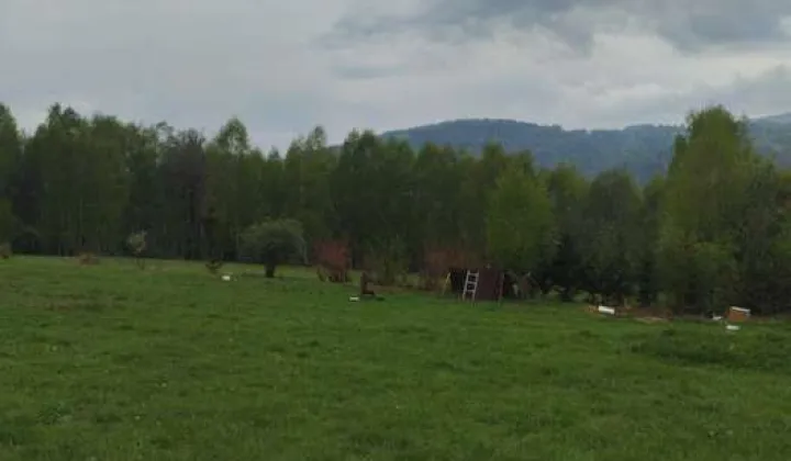 Działka rolna Cisiec Duży Cisiec, ul. Brzozowa