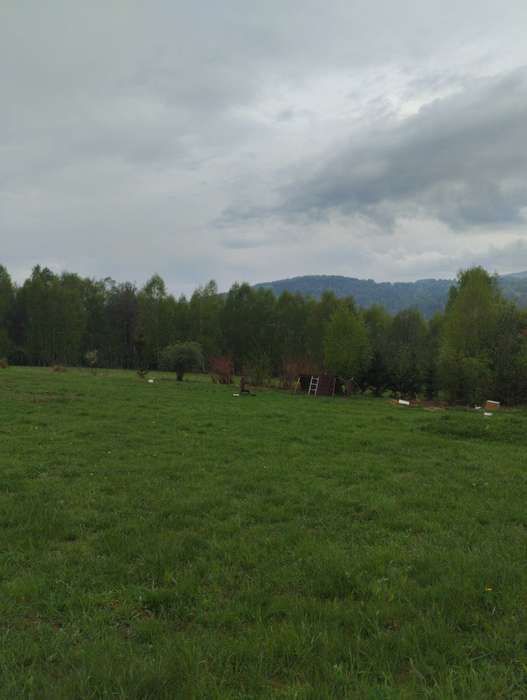 Działka rolna Cisiec Duży Cisiec, ul. Brzozowa