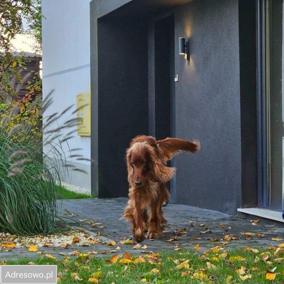 dom wolnostojący, 5 pokoi Mirków, ul. Spacerowa. Zdjęcie 12