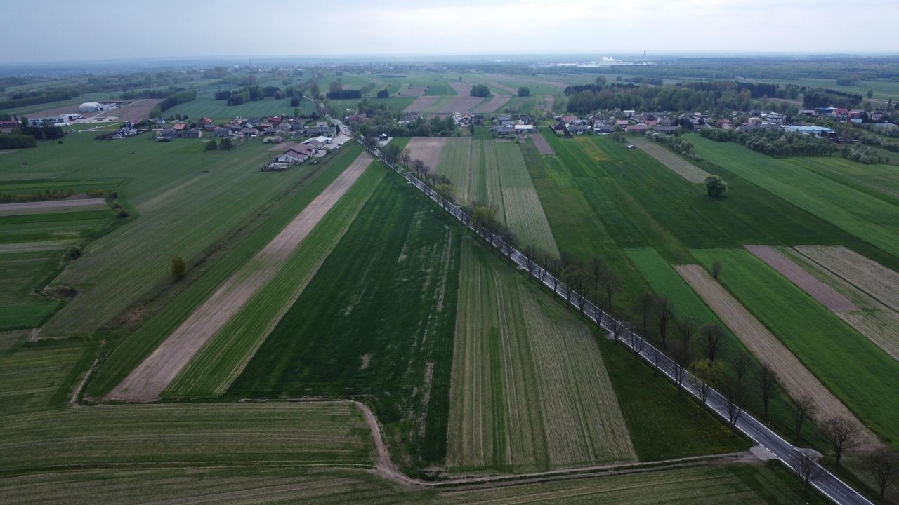 Działka rolno-budowlana Bukowiec Opoczyński. Zdjęcie 10