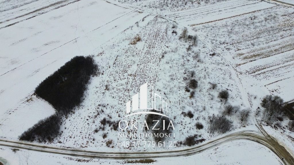 Działka inwestycyjna Zarzecze. Zdjęcie 2