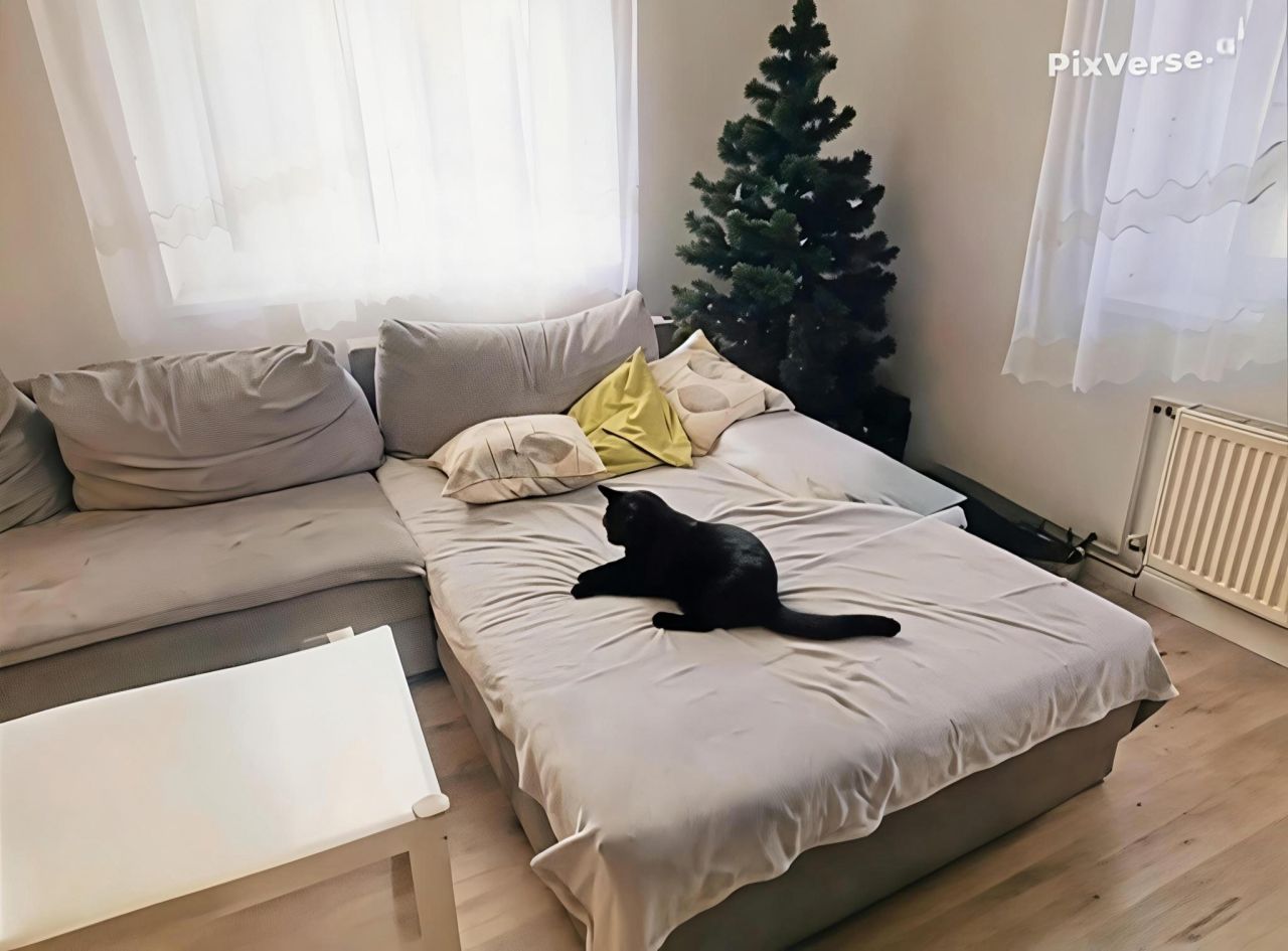 Mieszkanie 3-pokojowe Wałbrzych Stary Zdrój, ul. Tadeusza Rejtana. Zdjęcie 2