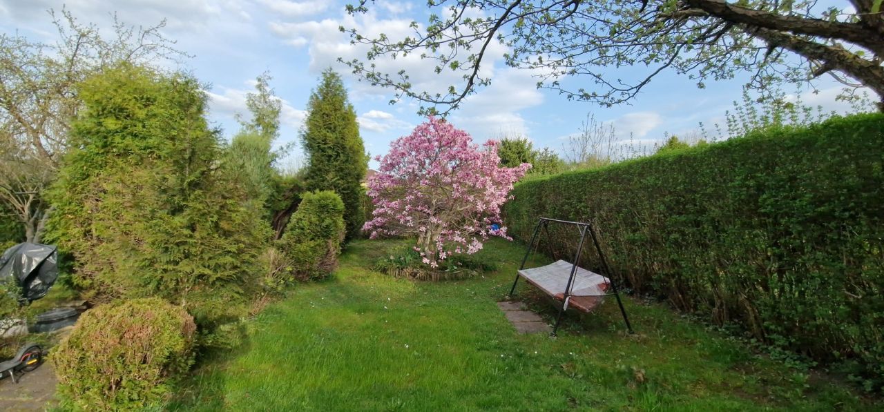 Działka rod Poręba, ul. Modrzewiowa. Zdjęcie 6