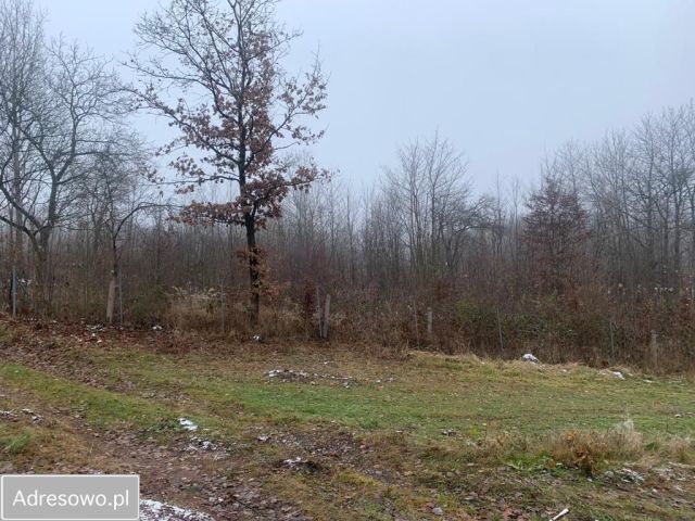 Działka budowlana Klonów. Zdjęcie 1