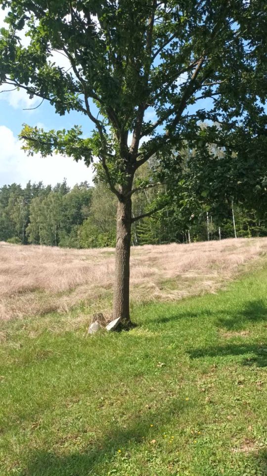 Działka rolna Mątki