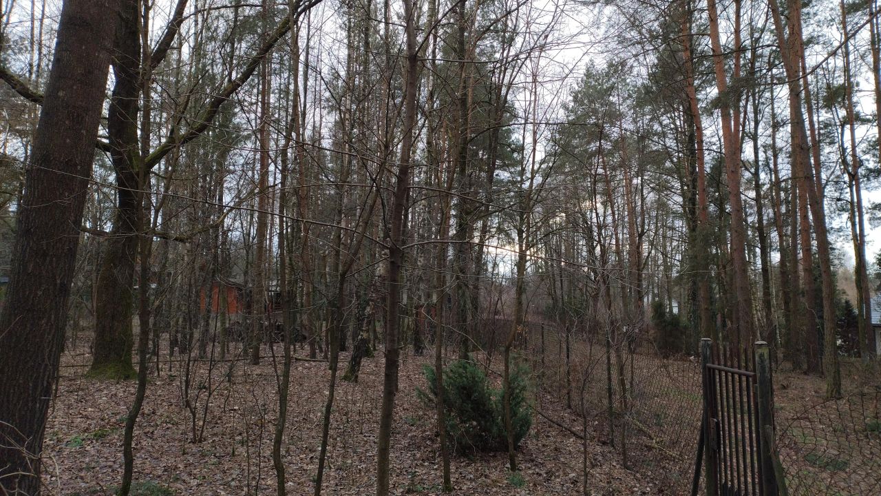 Działka budowlana Zofiówka, ul. Cmentarna. Zdjęcie 20