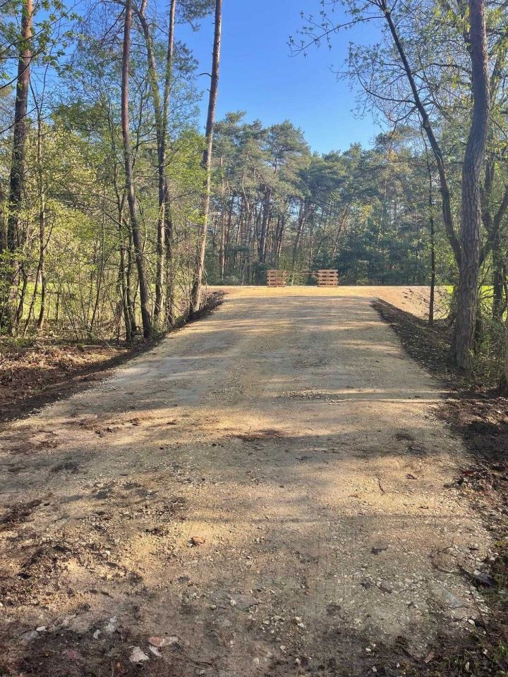 Działka leśna Włodzimierzów, ul. Podwłodzimierzów. Zdjęcie 2