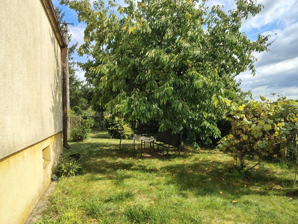 dom wolnostojący, 3 pokoje Zaryń. Zdjęcie 6