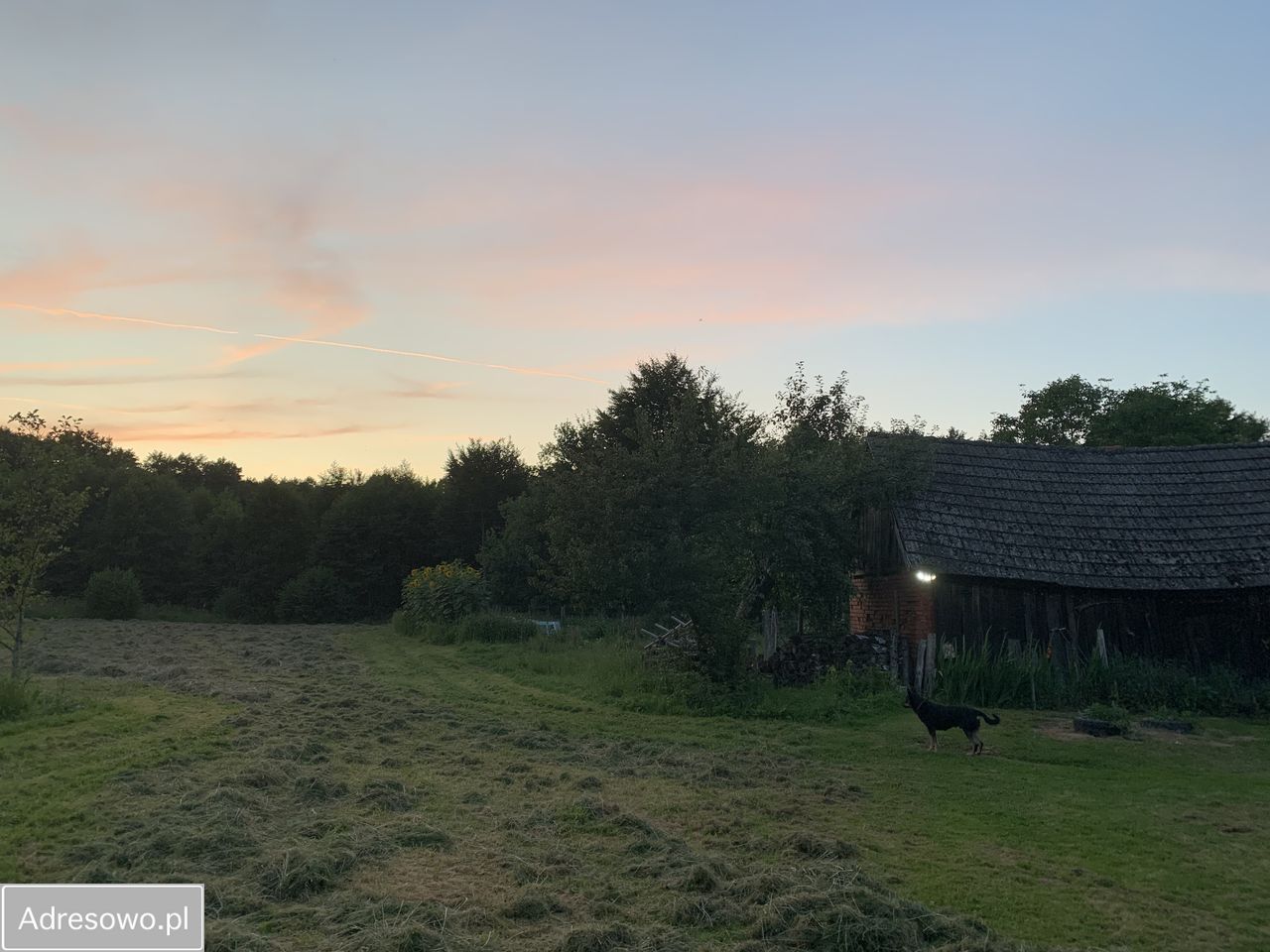 Działka siedliskowa Stary Kraków. Zdjęcie 7