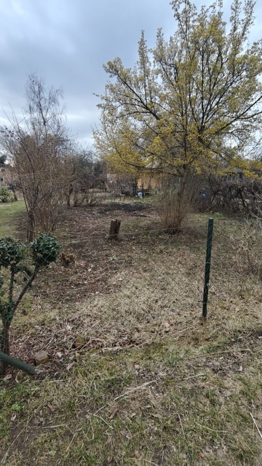 Działka rod Wrocław Śródmieście, ul. Odona Bujwida. Zdjęcie 7