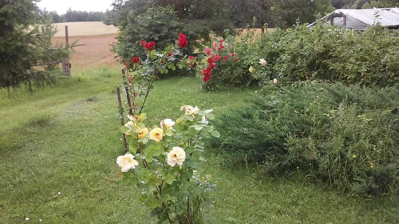 Działka inna Wólka, Wólka. Zdjęcie 8