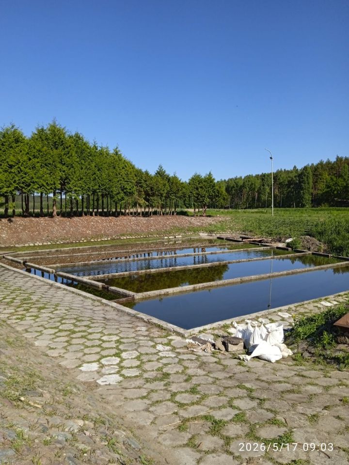 Nieruchomość komercyjna Sławno. Zdjęcie 9
