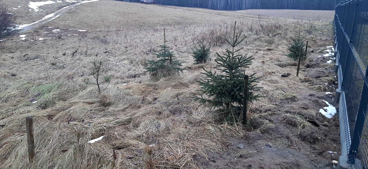 Działka Klusy. Zdjęcie 7