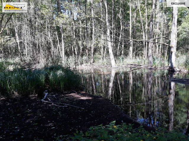 Działka inwestycyjna Chociwel. Zdjęcie 9