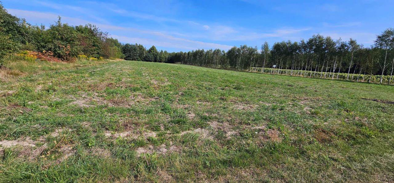 Działka budowlana Żytno