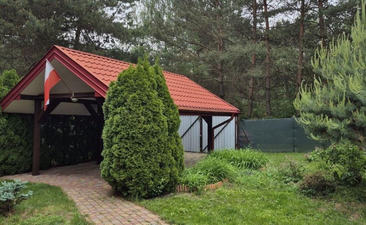 Działka rekreacyjna Rogóźno. Zdjęcie 18