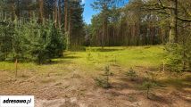 Działka inwestycyjna Wszewilki Pomorska. Zdjęcie 3