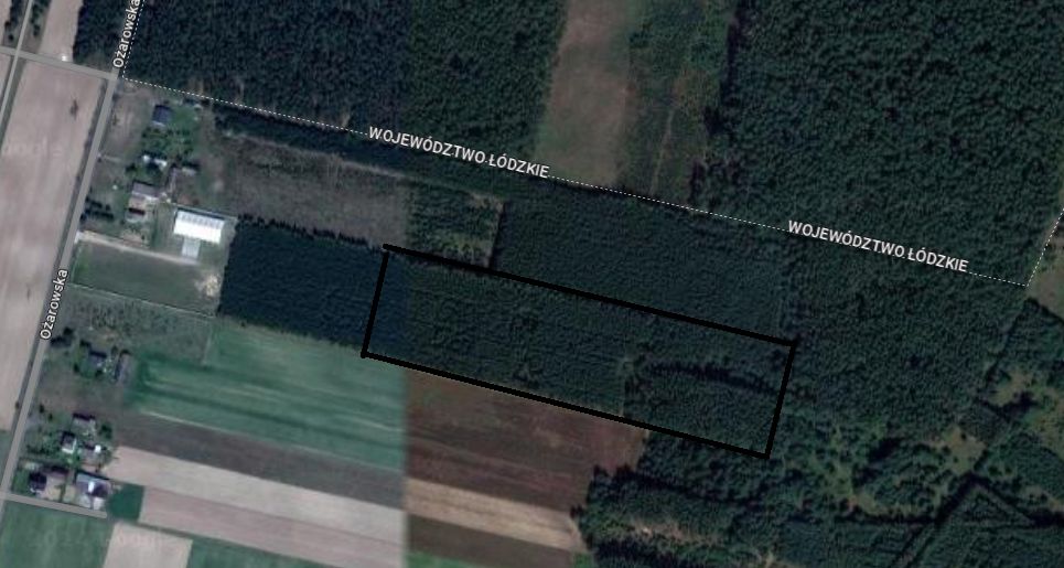 Działka leśna Kowale Kiczmachów, ul. Ożarowska. Zdjęcie 9