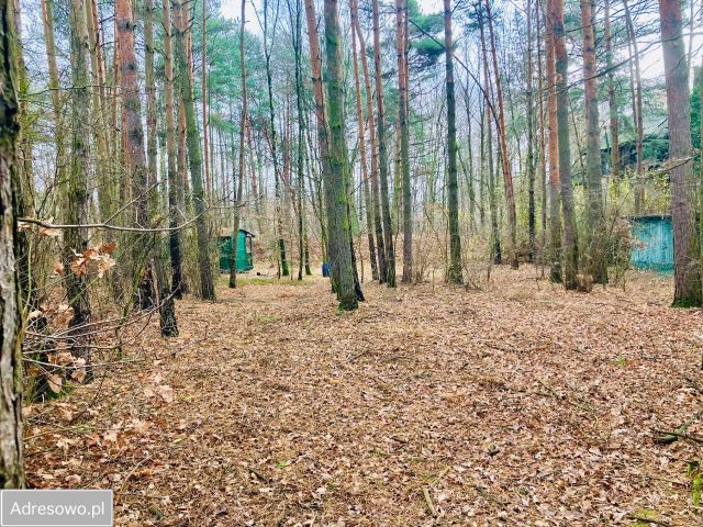 Działka budowlana Dąbrówka Wielka, ul. Leśna. Zdjęcie 1