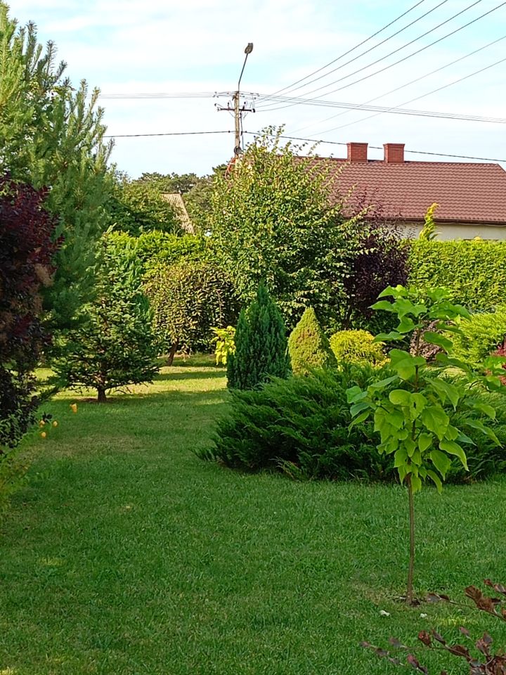 dom wolnostojący, 3 pokoje Wiktorowo. Zdjęcie 16