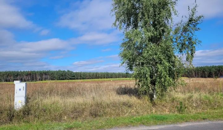 Działka budowlana Brzeźno, os. Kociołki