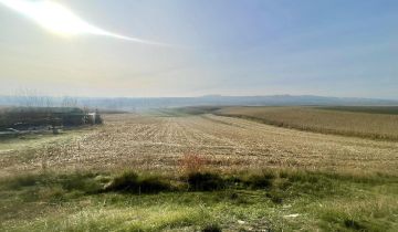 Działka rolna Gniazdowice