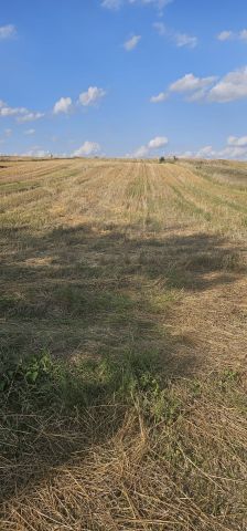 Działka inwestycyjna Lelów Zbyczyce, ul. Sportowa. Zdjęcie 1