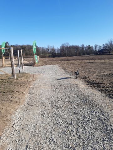 Działka rolno-budowlana Zacharzowice, Cisowa. Zdjęcie 1