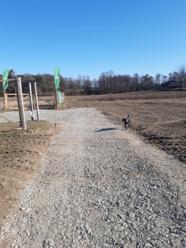 Działka rolno-budowlana Zacharzowice, Cisowa. Zdjęcie 1