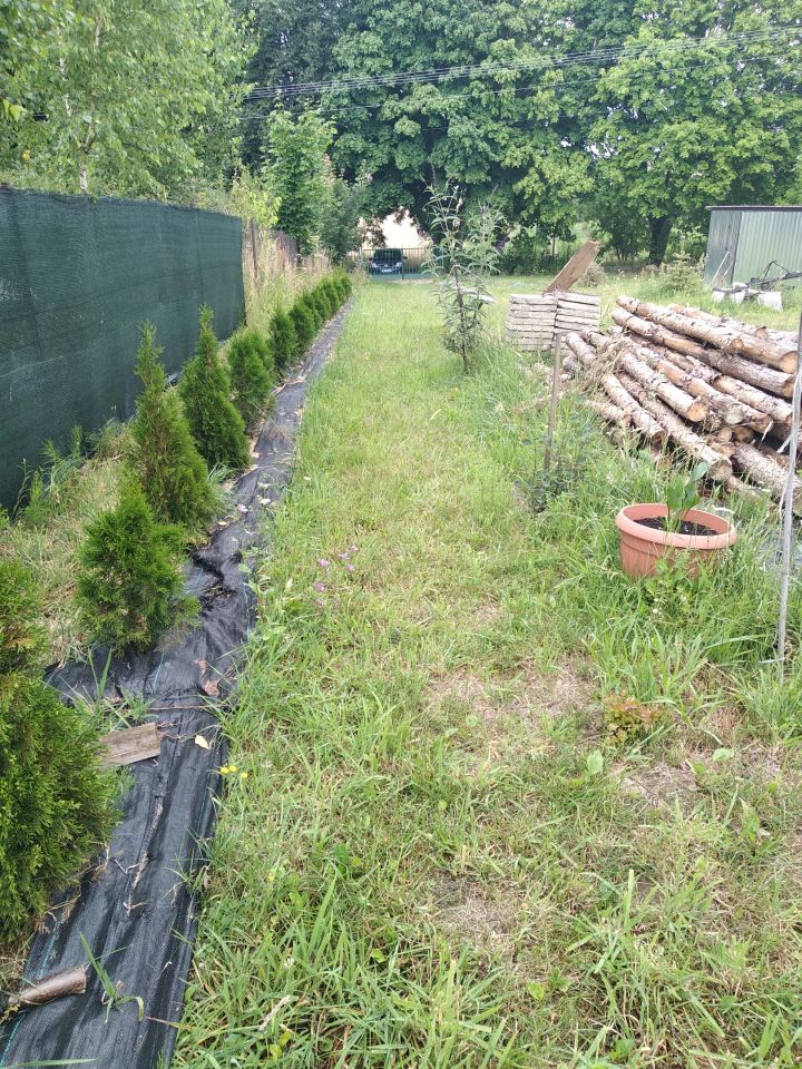 Działka rolno-budowlana Bronice. Zdjęcie 6