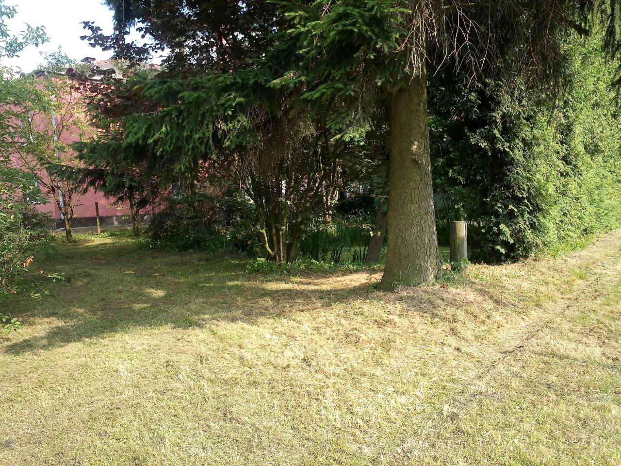 Działka siedliskowa Wolica. Zdjęcie 4