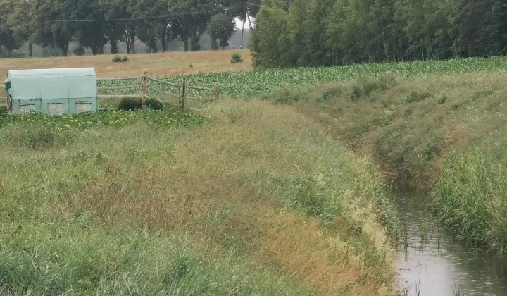 Działka budowlana Międzybłocie