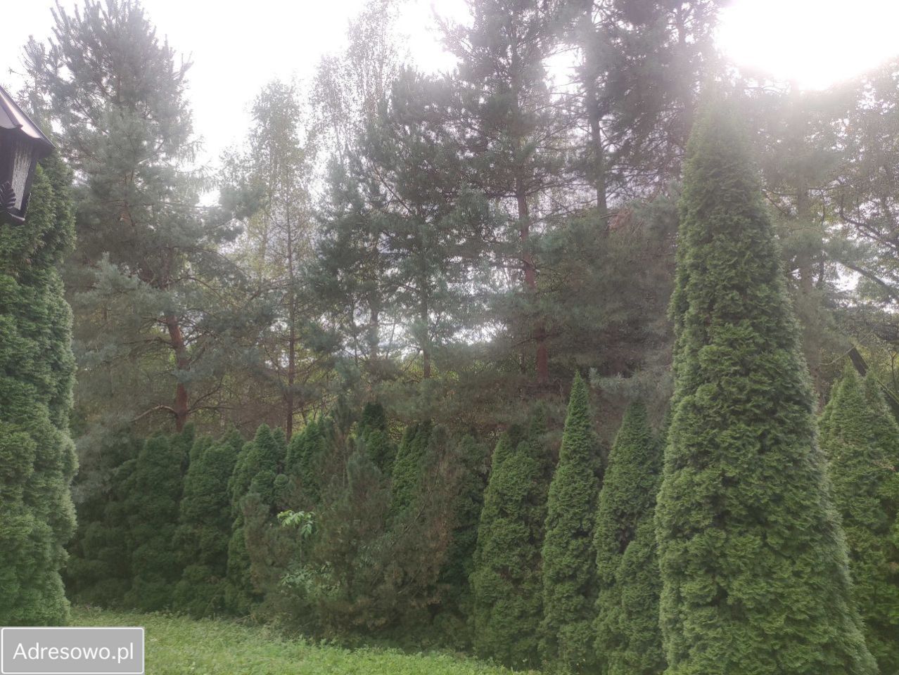 Działka rolno-budowlana Winiary. Zdjęcie 10