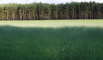 Działka budowlana Karczów