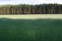 Działka budowlana Karczów