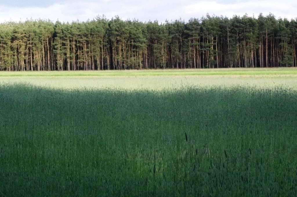 Działka budowlana Karczów