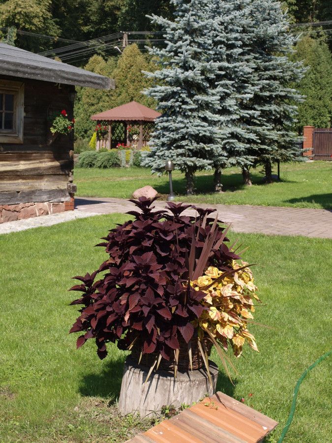 Działka siedliskowa Sobieszyn. Zdjęcie 4