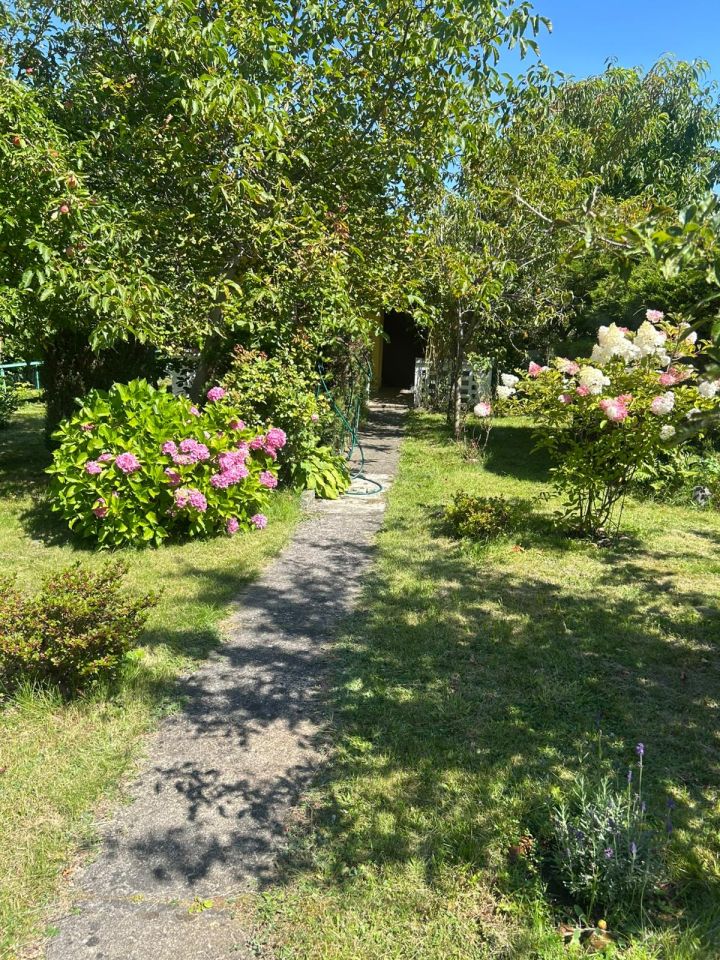 Działka rod Łódź Łagiewniki, ul. Przyklasztorze. Zdjęcie 11