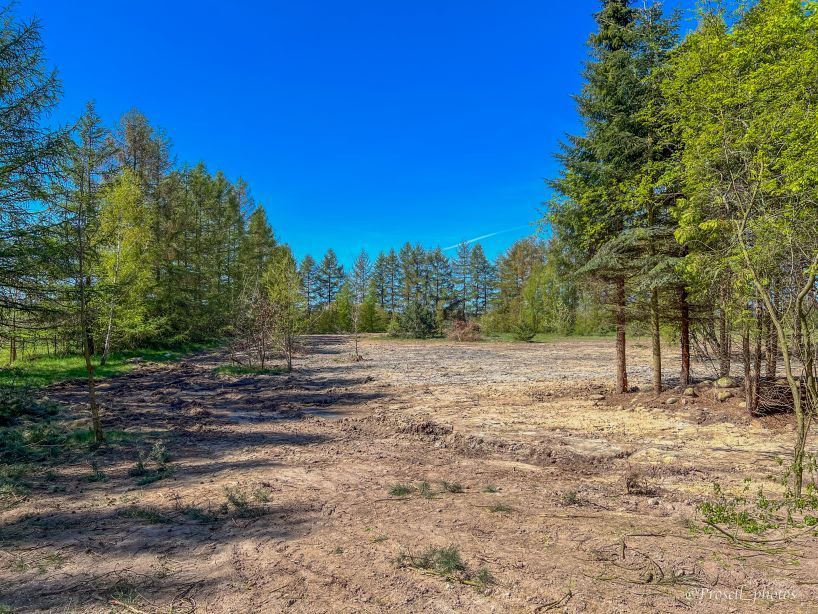 Działka inwestycyjna Przyjaźń Mała Przyjaźń, ul. Jeziorna. Zdjęcie 5